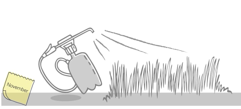 11.png
