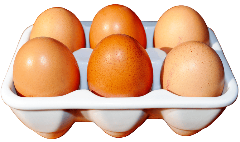 blog eggs.png