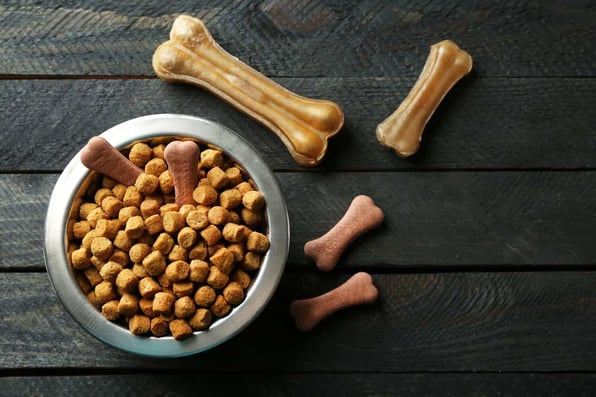 Dog Food Recall