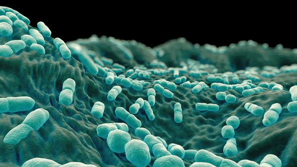 Food Recall Listeria Outbreak