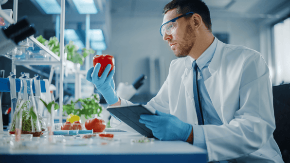 Food Safety Management