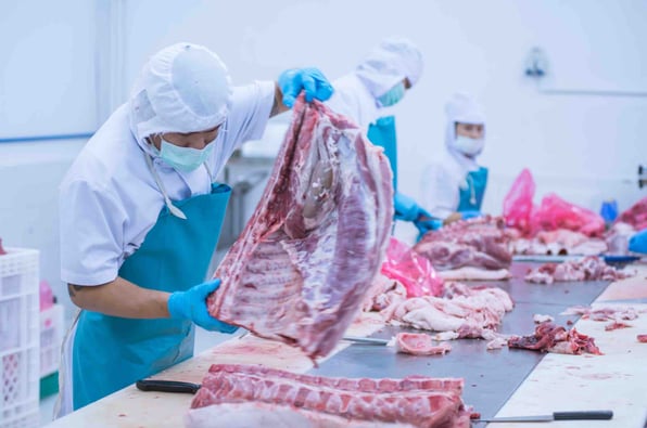 food poisoning bacteria in slaughterhouse