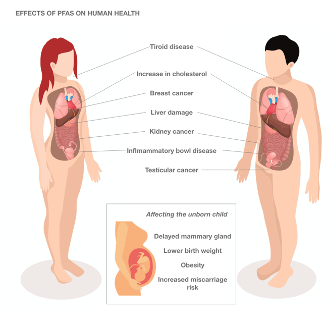 fpas diseases (1)