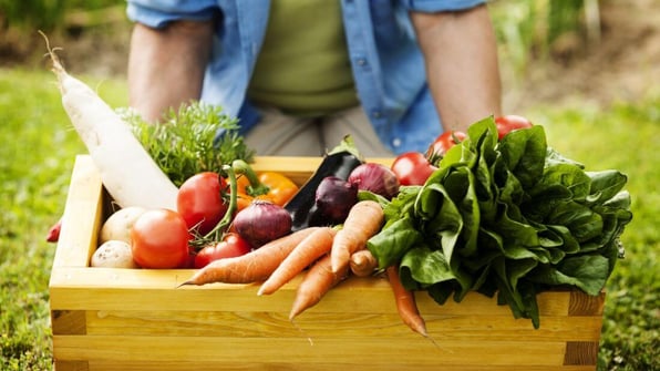 how can food handlers reduce bacteria to safe levels when prepping vegetables for hot holding
