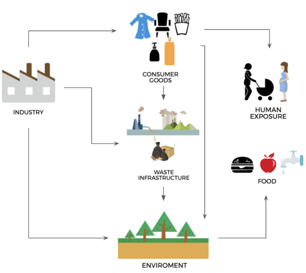 pfas exposure2