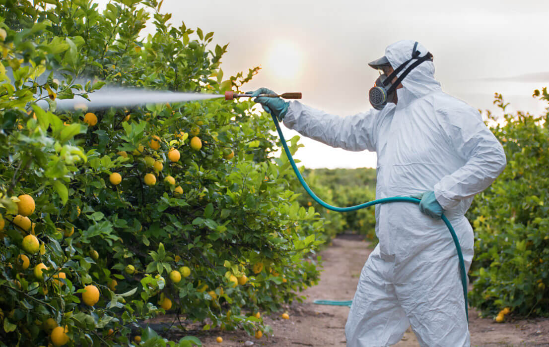 Chlorpyrifos regulations