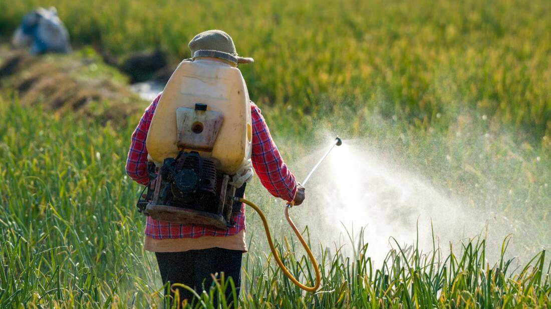 banned pesticide