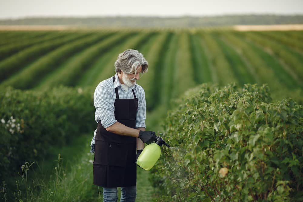 farmer spraying pesticide