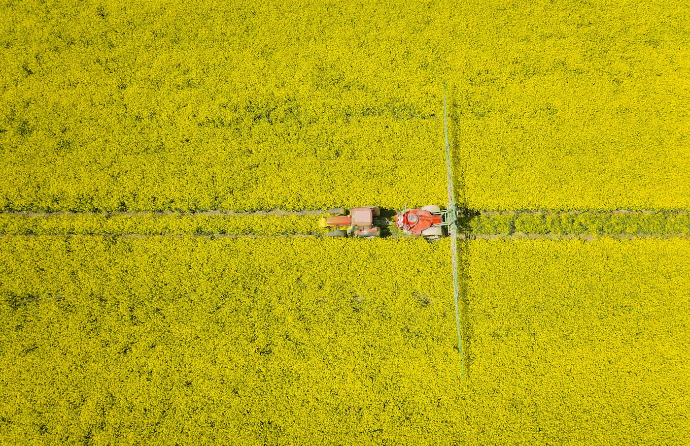 tractor spraying on field