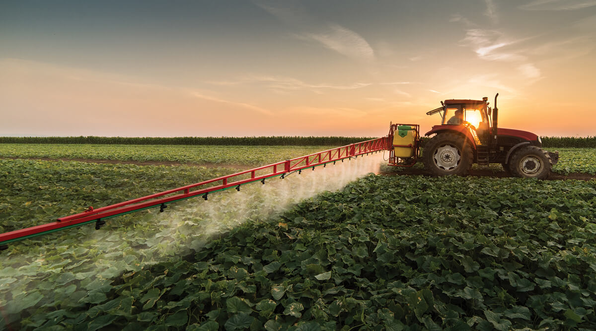pesticides food safety